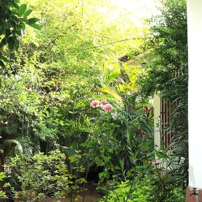 jardim-1.jpg